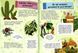 Велика енциклопедія для чомусика Р292 фото 21