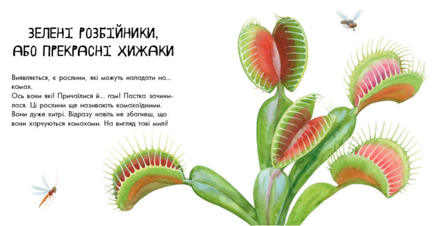 Про рослини Р280 фото