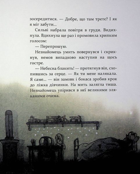 Таємниця снігового янгола CH013 фото