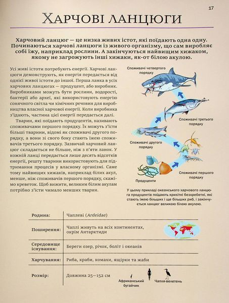 Велика книга тварин V082 фото