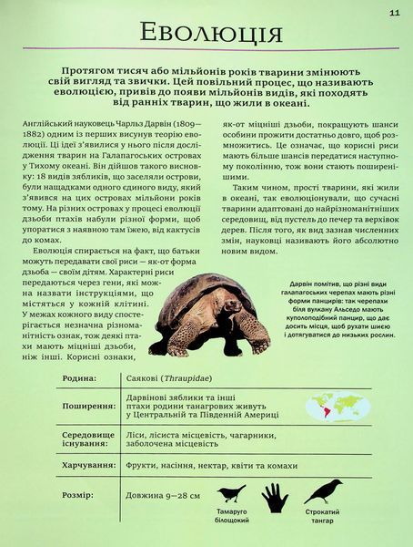 Велика книга тварин V082 фото